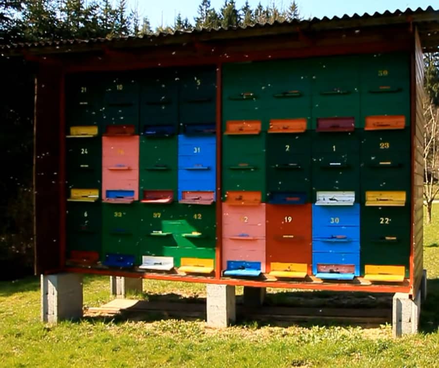 top-bar-hives